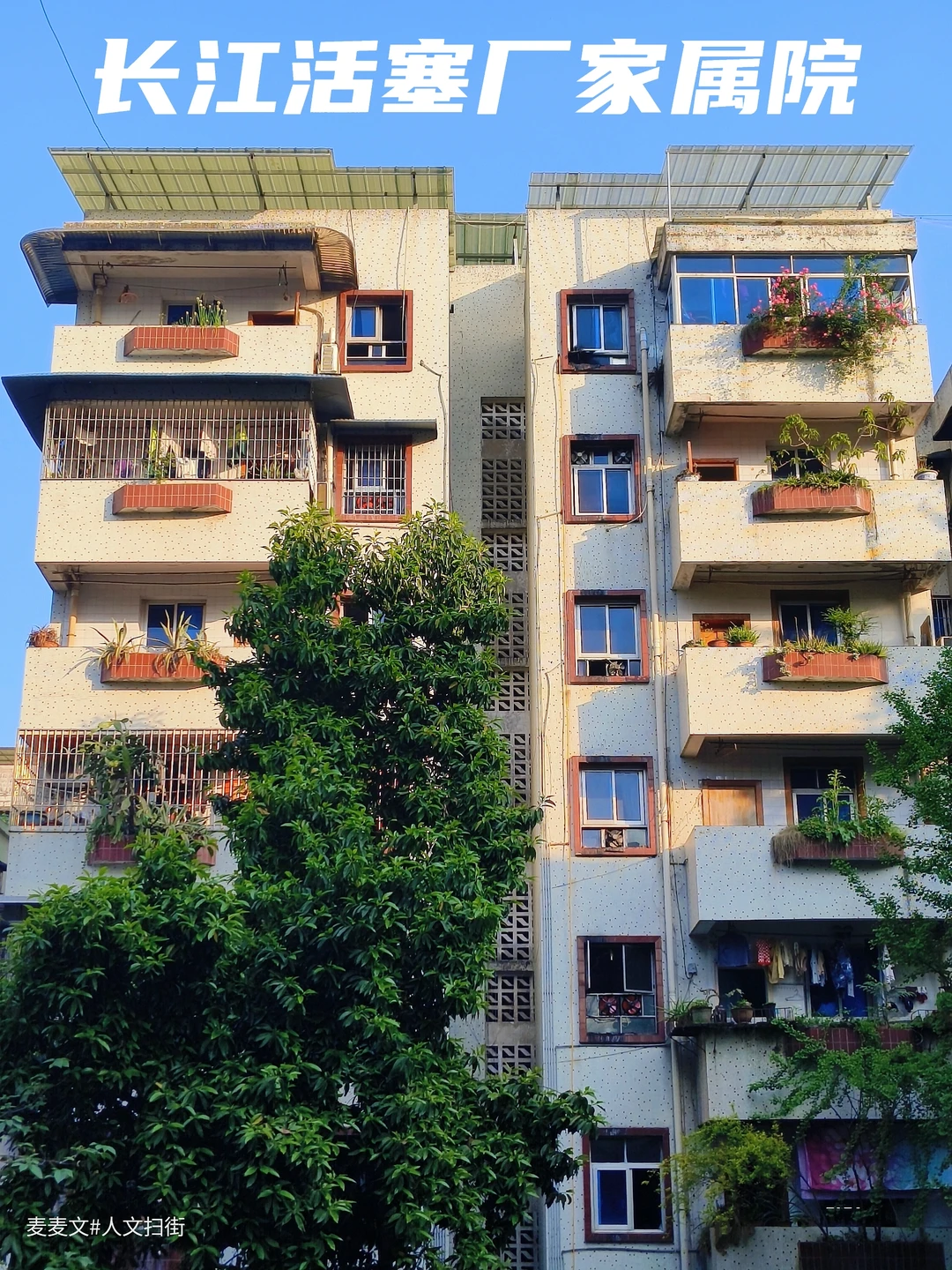 【渝北】活塞厂家属楼~千禧年的温柔定格