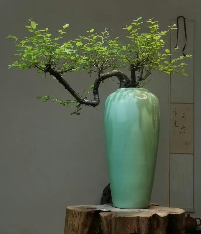 和鸣（图片：网络）诗文/王纪云（新韵）际遇生活里，欣得感赋呈。唯珍发现美，至贵触及情。物我宜相会，才德适悟通。人间无限好，是必乐和鸣。 ​​​