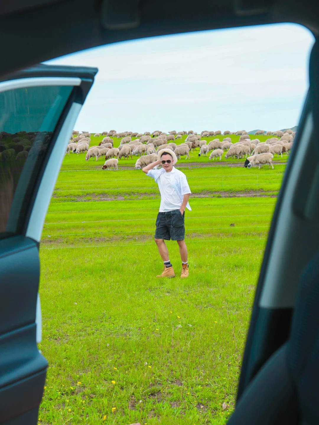 推开车门就是草原童话世界｜呼伦贝尔太美了！