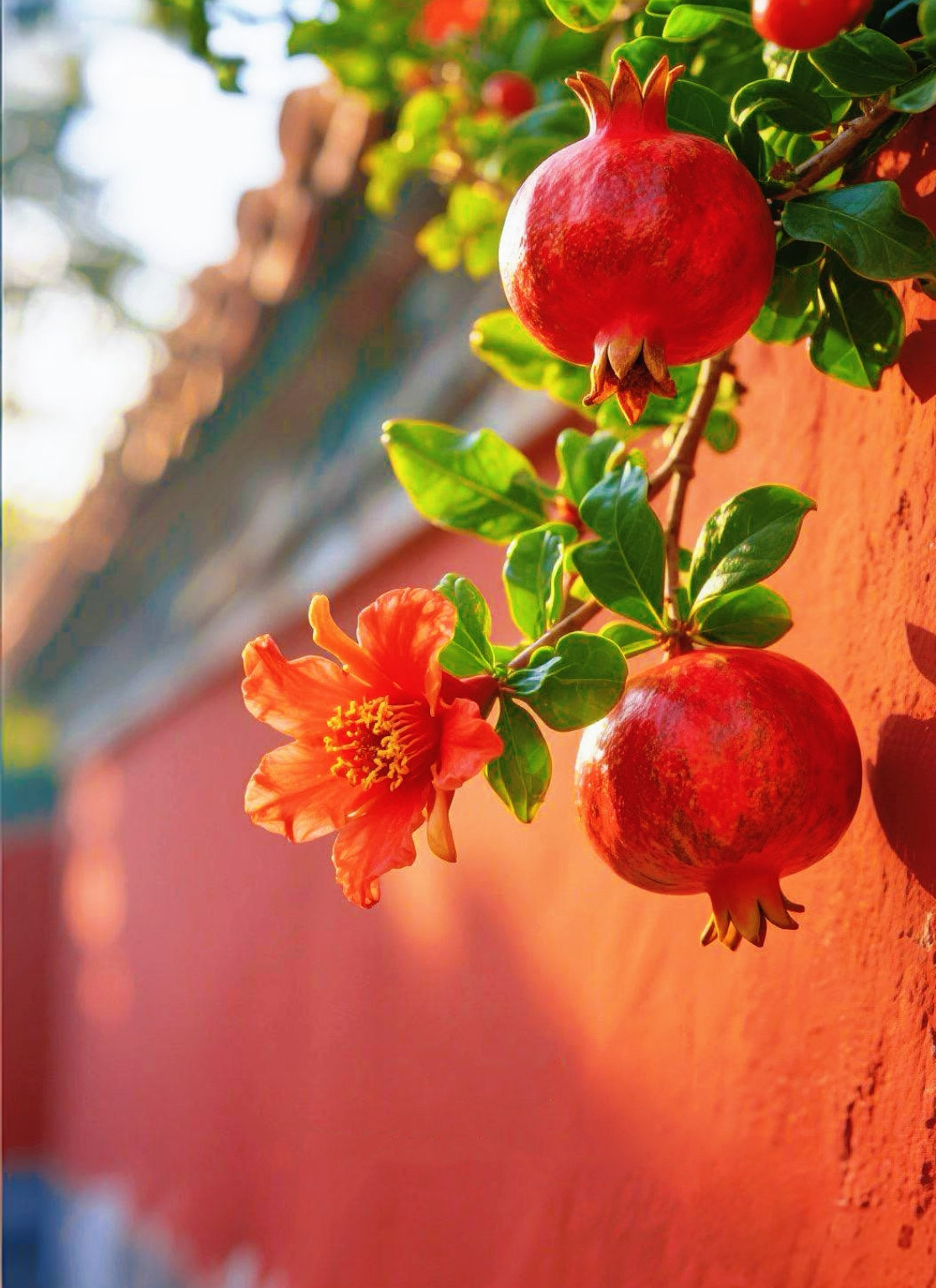 早安☀️｜9.23 公告📣 一人食锅具：现货1📣 盒装白米糕：现货3盒📣 神油现货：常规瓶3，玻璃瓶2今日安排：▪️吐司和面▪️榨果汁▪️烤燕麦1锅▪️烤花生1锅▪️改袖口▪️柚子茶1锅▪️午睡💤▪️打包📦…………🚩果佳无添加·团购进行时ing· 贝贝南瓜：29.9元 / 4.5斤· 榴莲小蜜薯：19.9元 / 3斤· 黄油鸡蛋卷：58.8 / 大盒· 临安小核桃： 55元/罐 · 番薯干：38.8元 / 4袋 （星级推荐）· 巨桶玉米片：19.9元 / 10包（星级推荐）· 水果燕麦脆：19.9元 / 袋· 甘梅地瓜片：28.8元 / 3袋 （星级推荐）· 脏脏年糕条：38.8元 / 2桶· 干香鸭脖：25.8元 / 包『 领券下单⚠️（不要买贵）领券无上限，每单都可以用 』…………分享：对了就是成功，错了就是进步，所有的事所有的经历都有意义。
