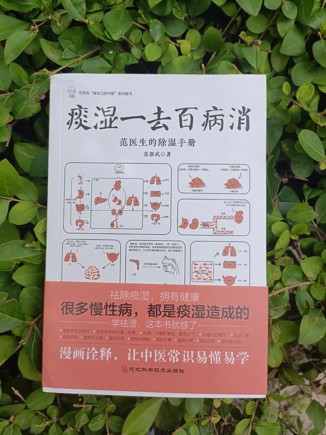 漫画图解书｜原来中医也能很有趣