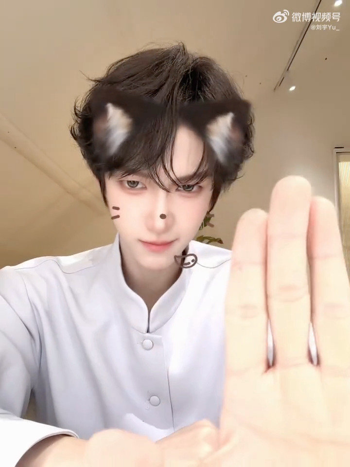 真是喵喵又咪咪🐱 ​
