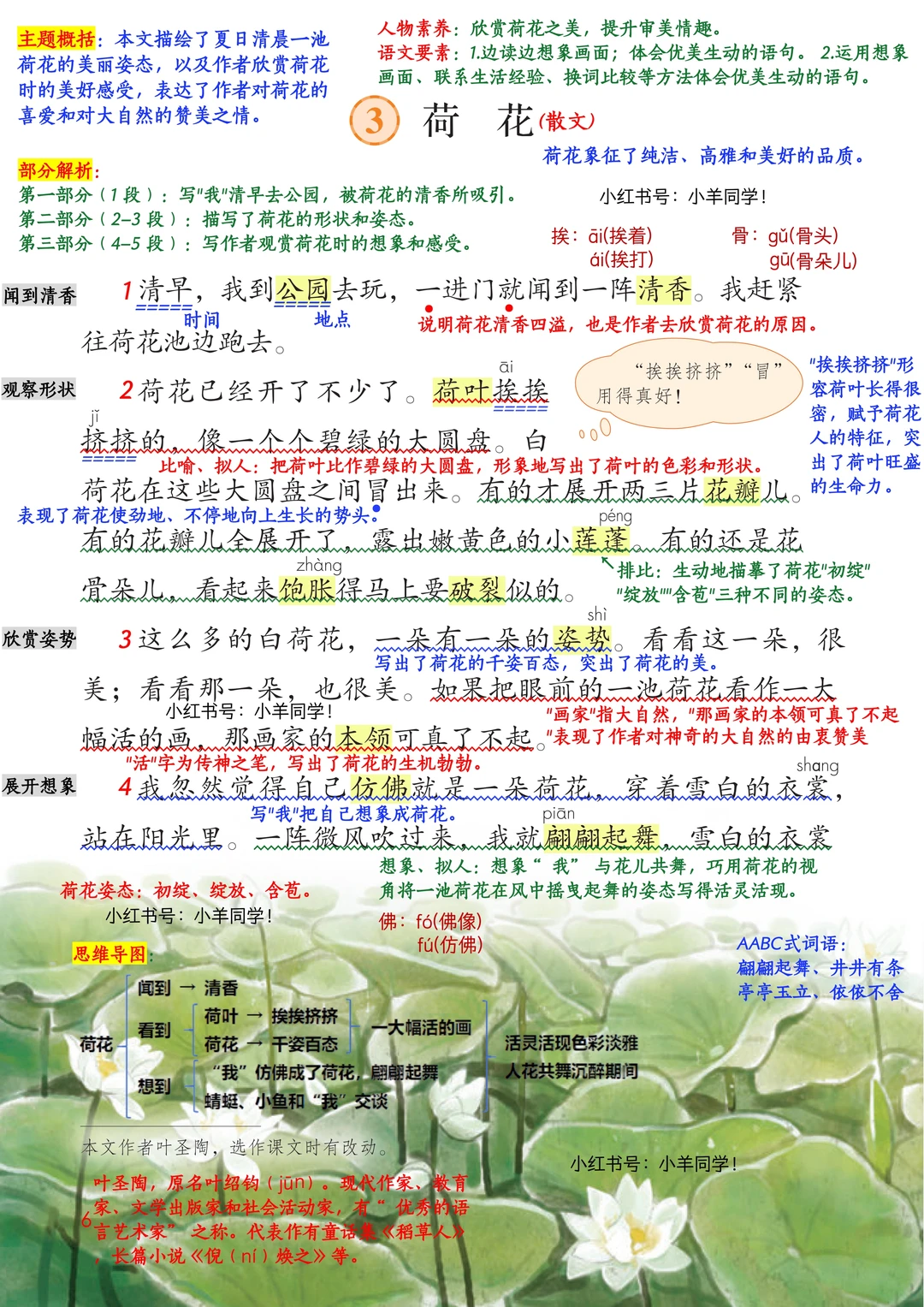 三年级下册丨第3课《荷花》语文笔记