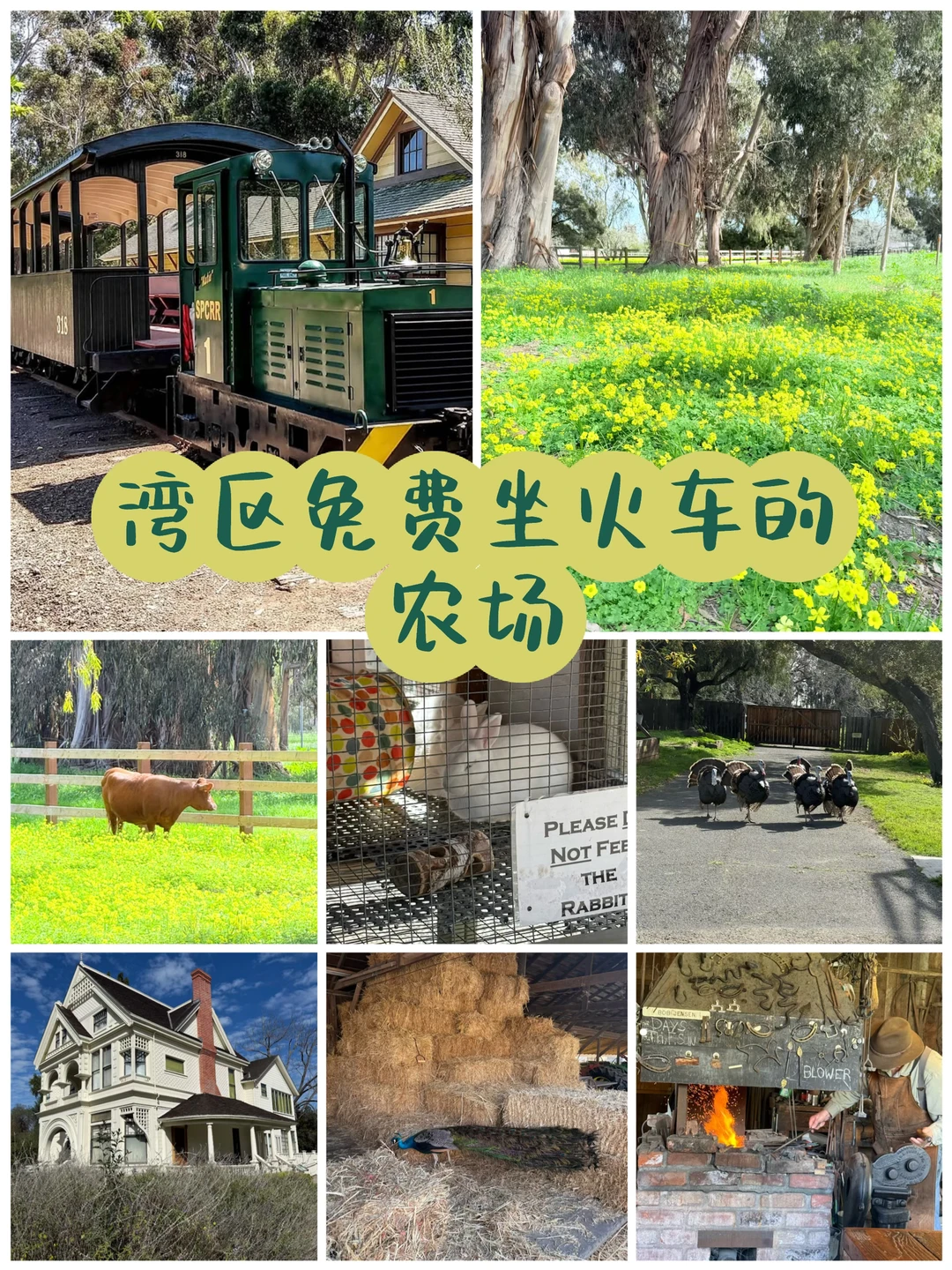 湾区遛娃宝藏地|免费坐复古火车的农场