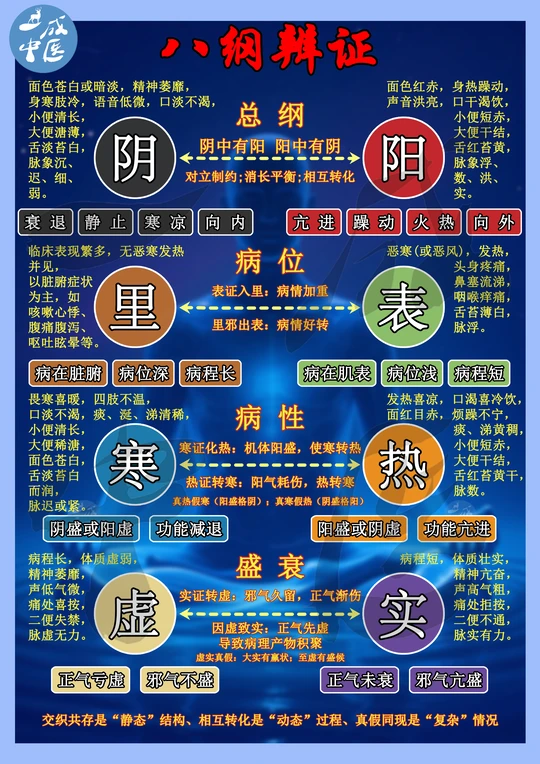 🌿八纲辨证｜中医小白秒懂的「辨证心法」