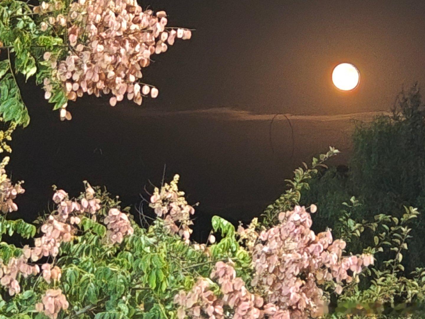 #汪涵缅怀游本昌刘欢时一度哽咽#
人不是老了才会嘎，是命数到了就该走了
最近发生的好多事情，都教会我们珍惜
父母看不到你老的时候 
伴侣看不到你小的时候 
孩子看不到你年轻的时候
朋友也看不到你的曾经
你看 能完完全全见证你每个阶段的只有你自己 所以请深爱自己 ​
