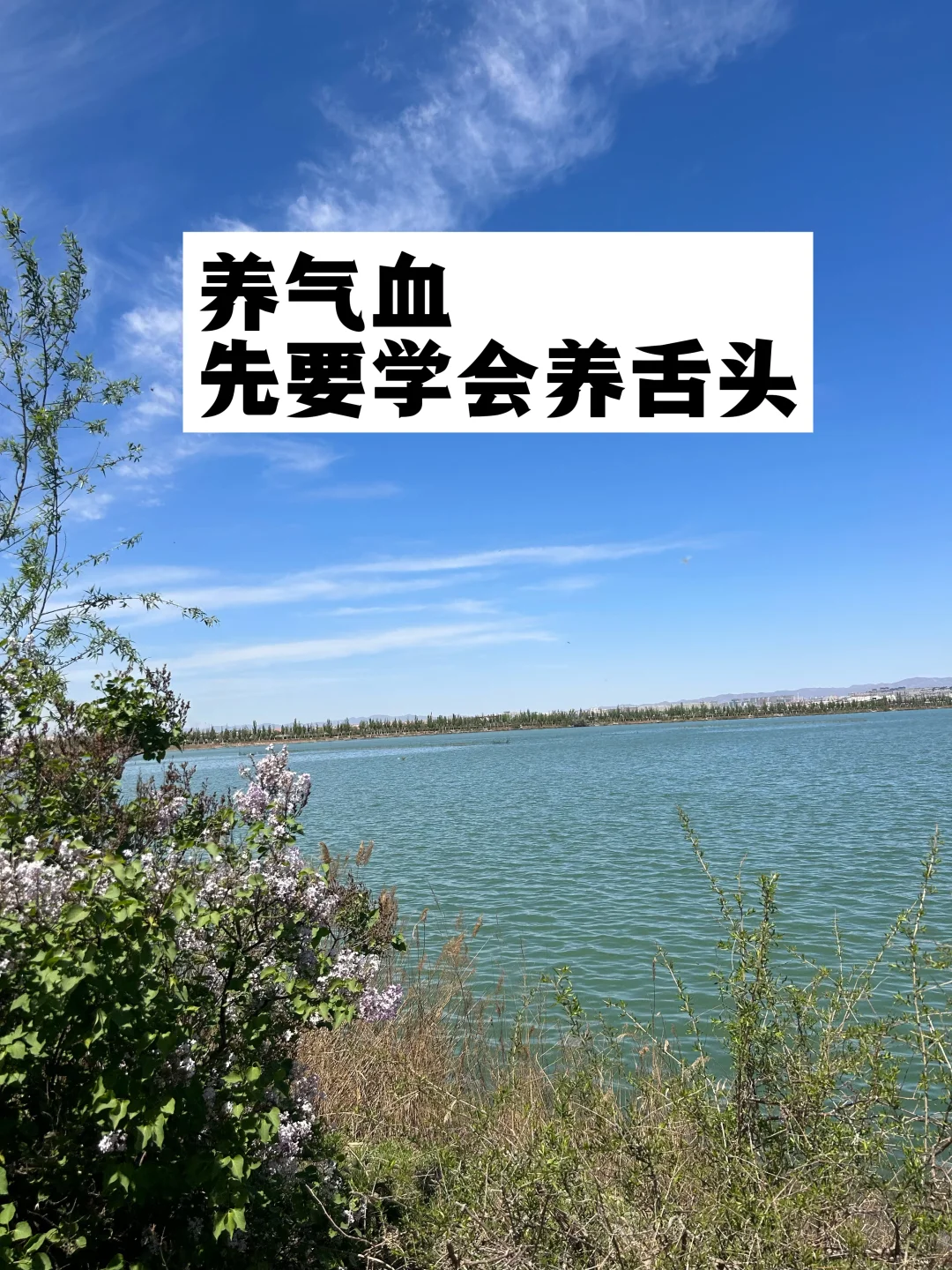 养气血，先要学会养舌头.