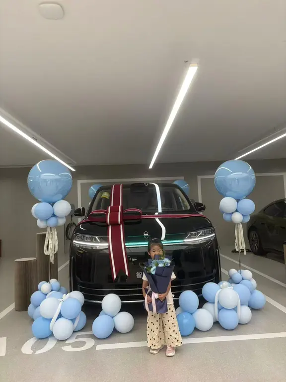 喜提智界V9