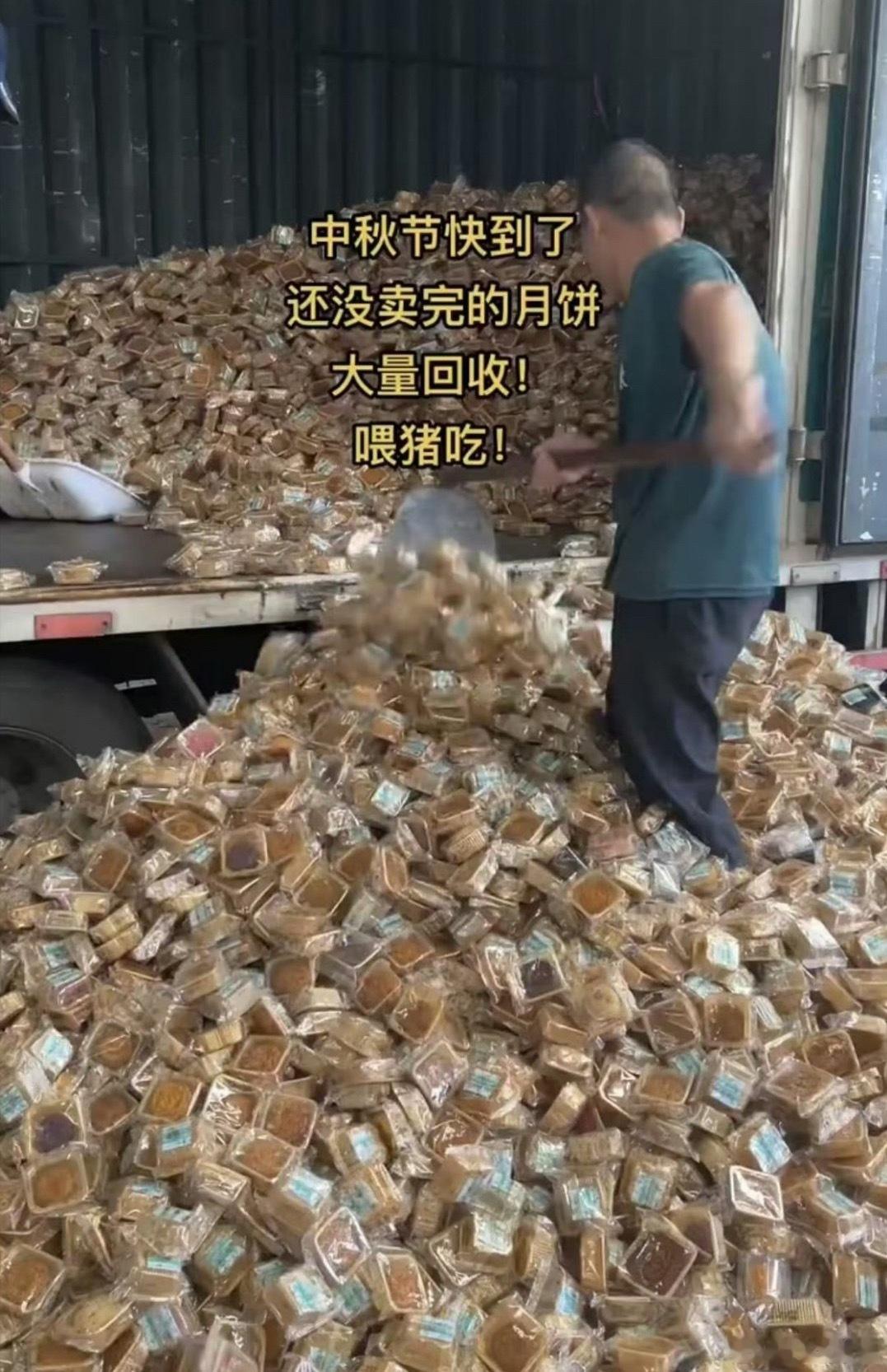 #月饼回收价800元一吨#
看完这个热搜真的很有感触。节前包装精致、动辄几百上千的月饼礼盒，中秋一过，滞销的豆沙、果馅月饼回收价仅800元一吨，折算下来一斤才几毛钱。曾经用来撑场面、走人情的高端礼品，最后只落得粉碎加工成饲料的结局，巨大的身价落差，看得人唏嘘又清醒。

更有意思的是，被大家 ​
