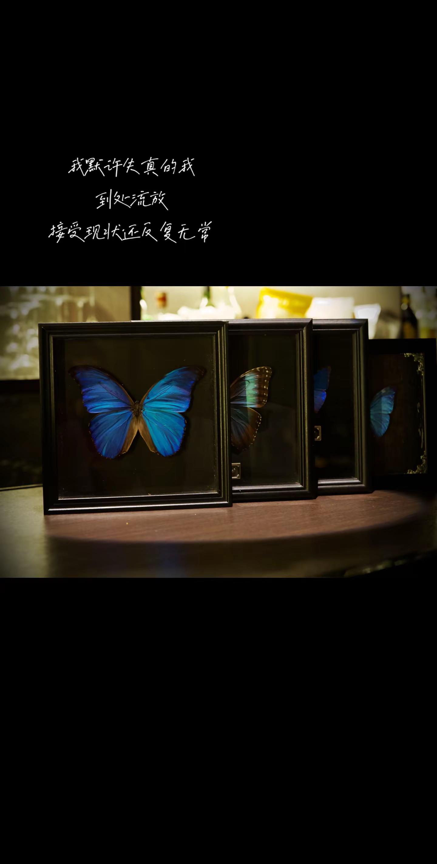 薛之谦到底在歌里加了什么啊！！！