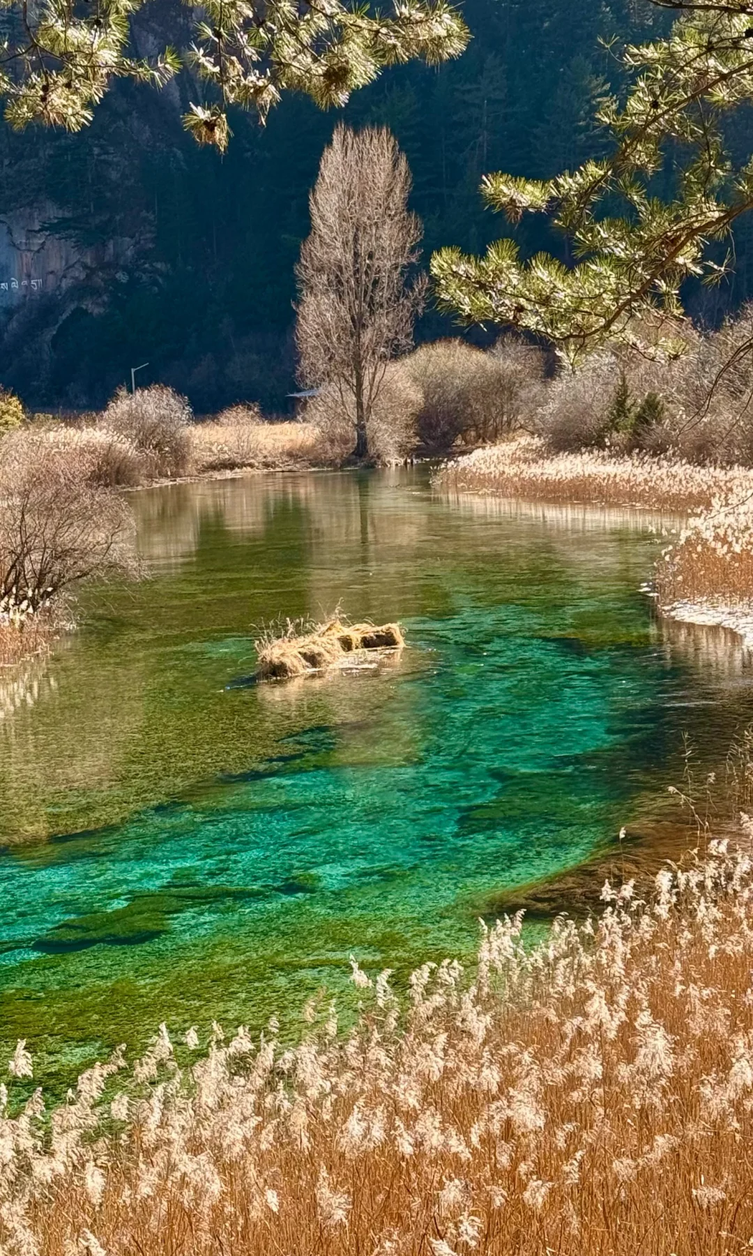 用全屏Live图打开九寨沟封神级别的冬天～