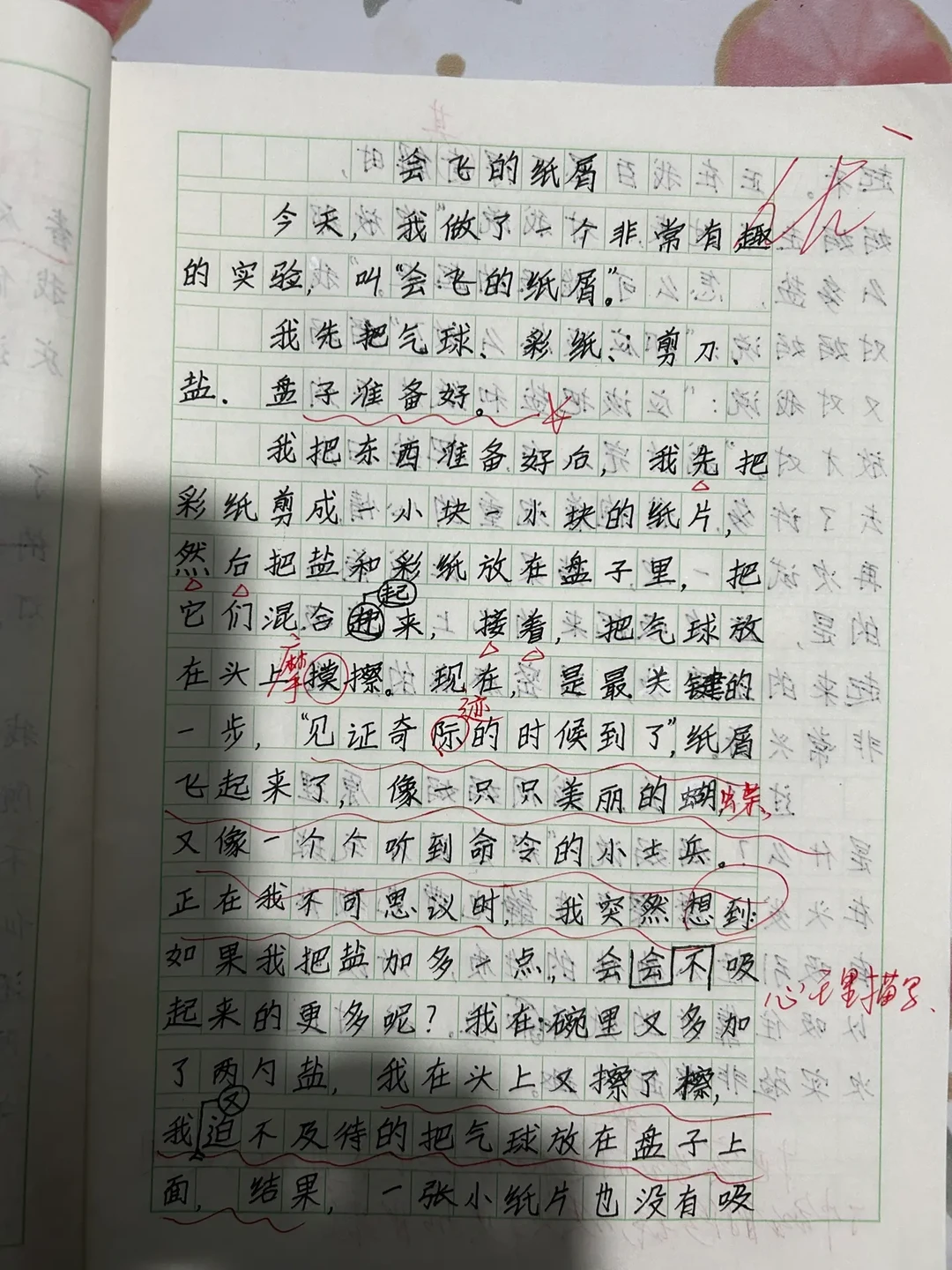 三下语文第四单元《我做了一项小实验》作文