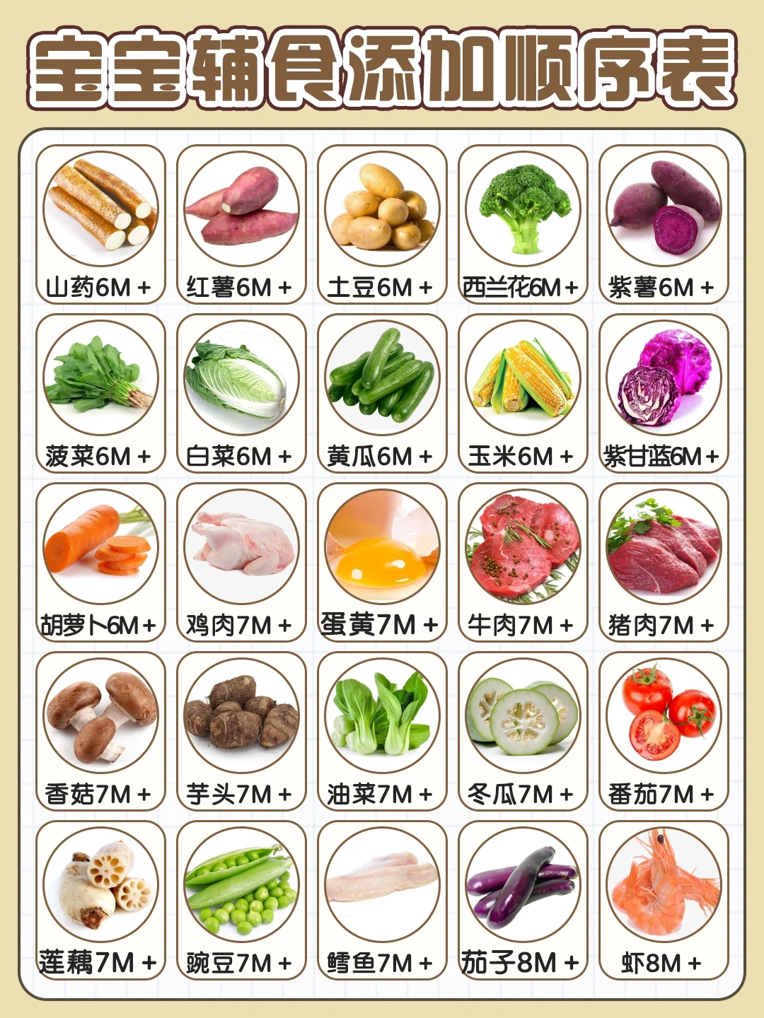 6M➕宝宝辅食添加顺序表 | 保姆级教程！