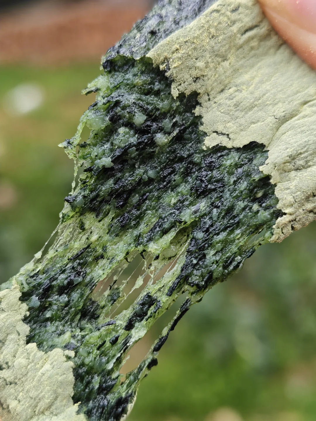 春天来报福的艾草麻糍，手工锤打低糖版！