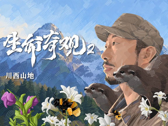 开播通知｜《生命奇观2》川西山地集