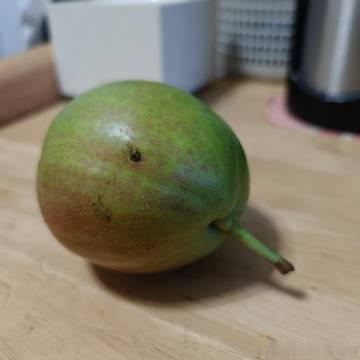 从左至右：OPPO Find X9、iPhone 16 Plus、OP...