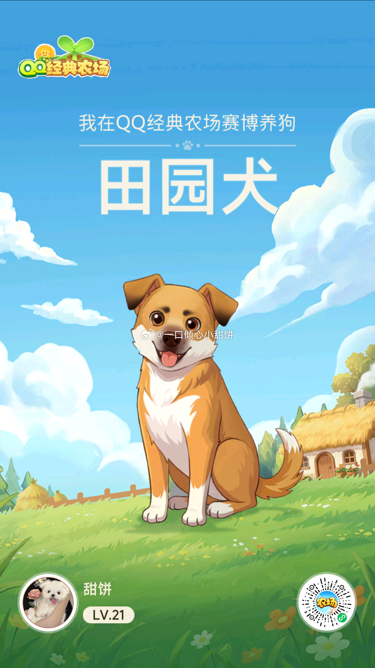 我也有狗狗啦！ ​​​