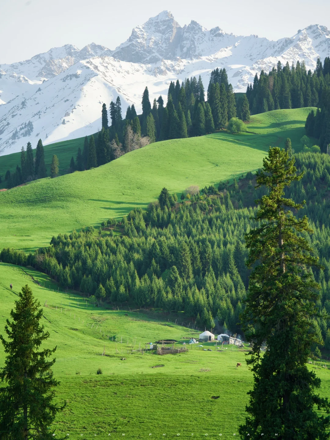 朋友说我拍的新疆像AI