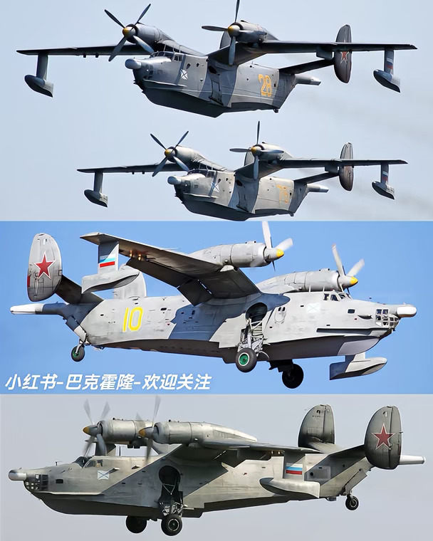 毛子海鸥，BE-12“海鸥”水上反潜机