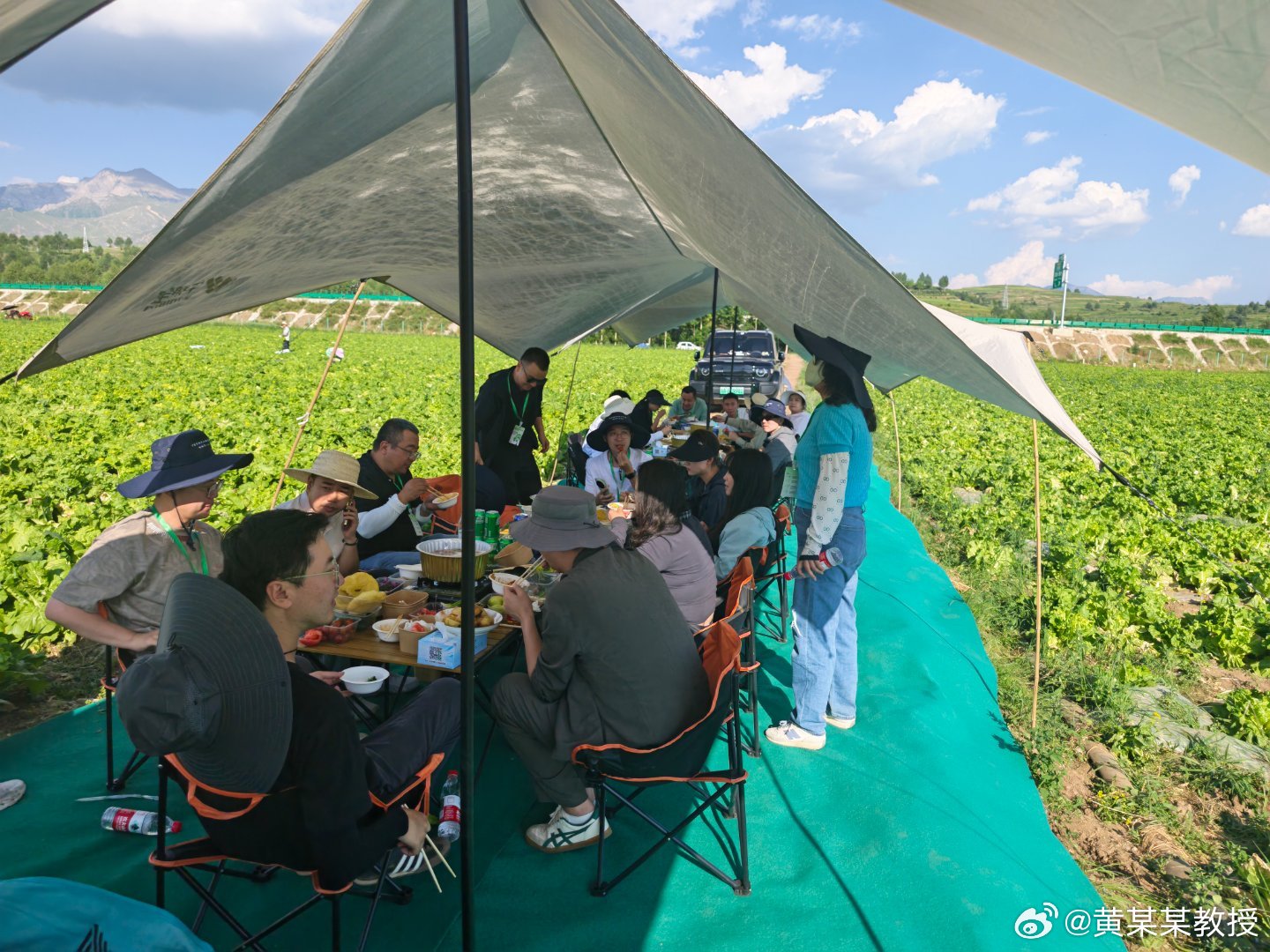 同志们认识几个大V今天在青海互助县冷凉蔬菜基地🥬🥬直接现场品味蔬菜味道好极了特别是这个黄瓜🥒忍不住吃了三根，今天晚餐我都省了坐了一天大巴，屁股都肿了还好这个菜特别美味在现场，浪山，小风吹着感觉太好了这个菜，你值得尝尝，不懂就问，浪山啥意思？万千气象看青海