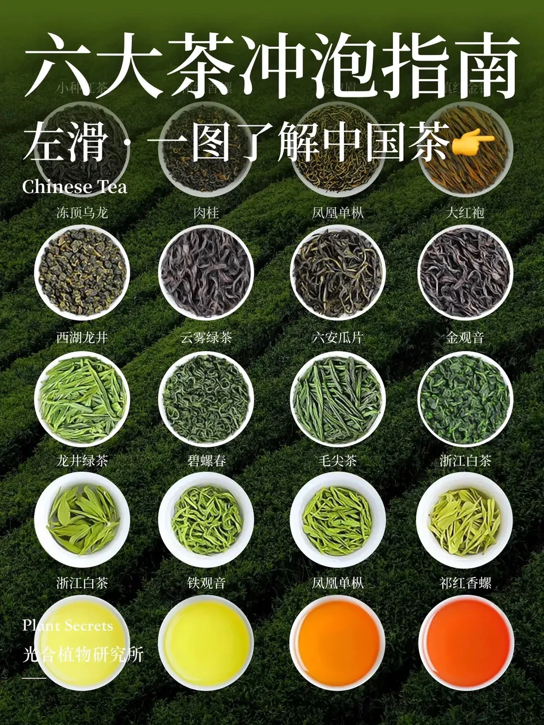 六大茶类的泡茶指南，记得收藏！