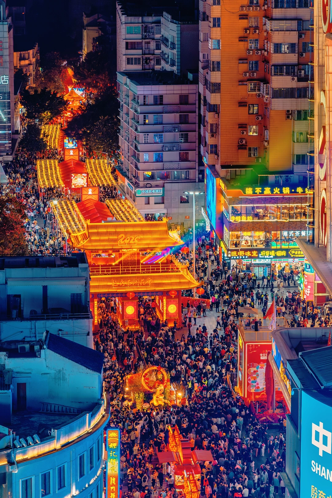 2026广州花市安排来啦🧨红红火火过年啦