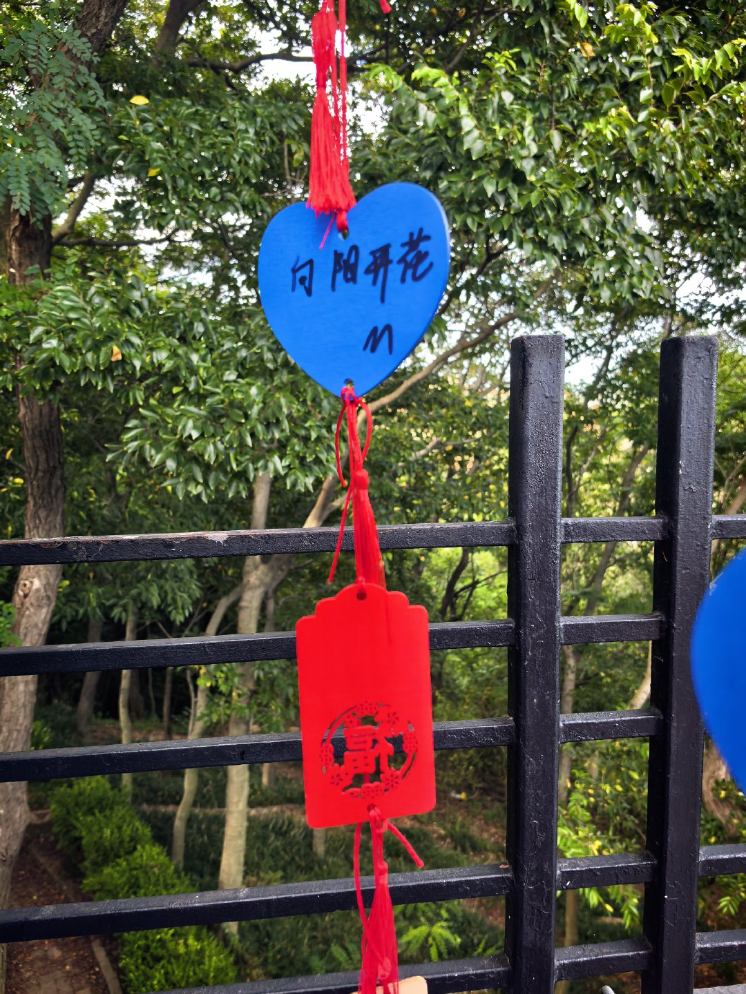 向阳花开吧 ​​​