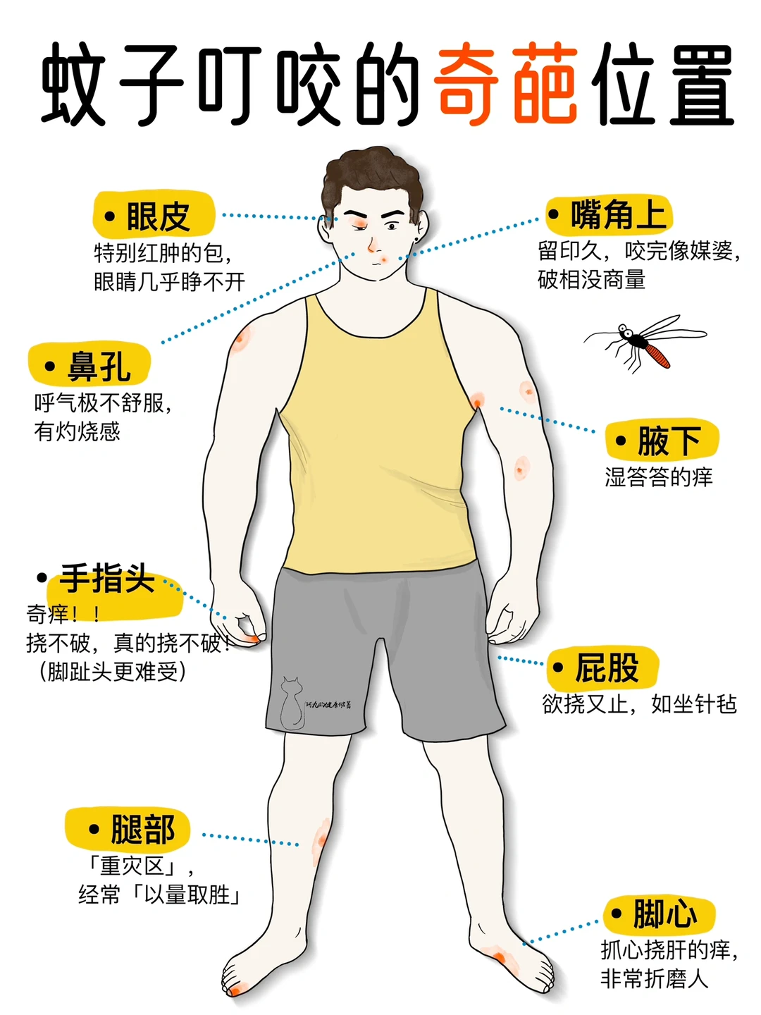 对蚊子的憎恶已到达顶点🥹‼️招蚊体质请进