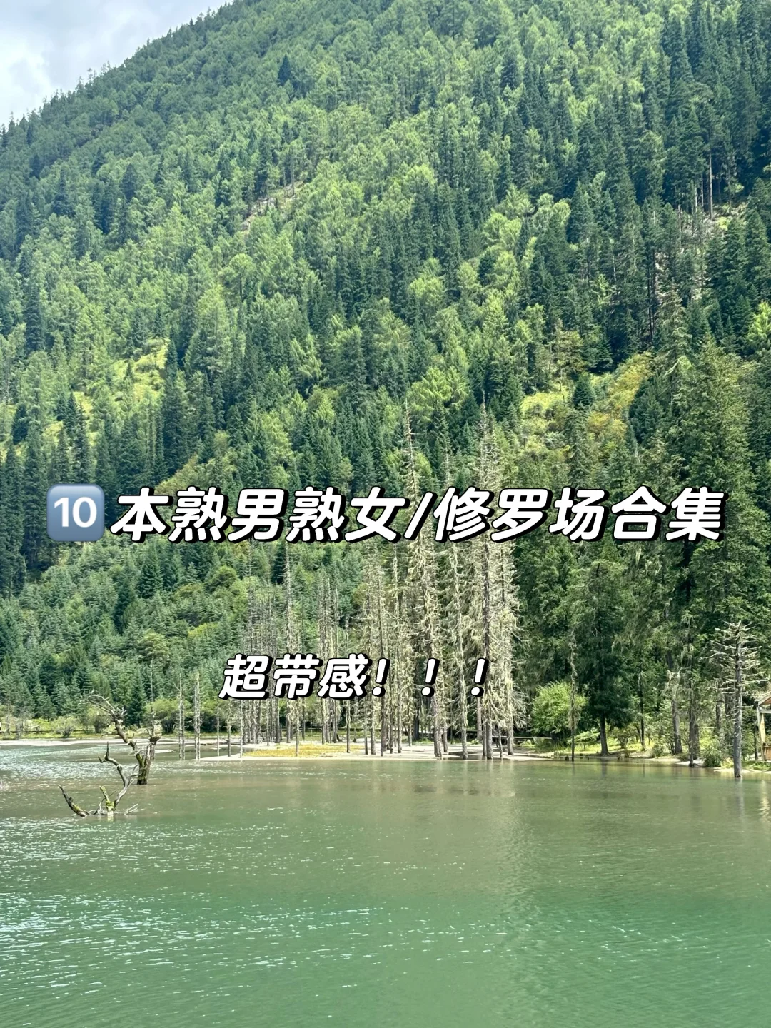 🔟本熟男熟女+修罗场合集，超带感！！！