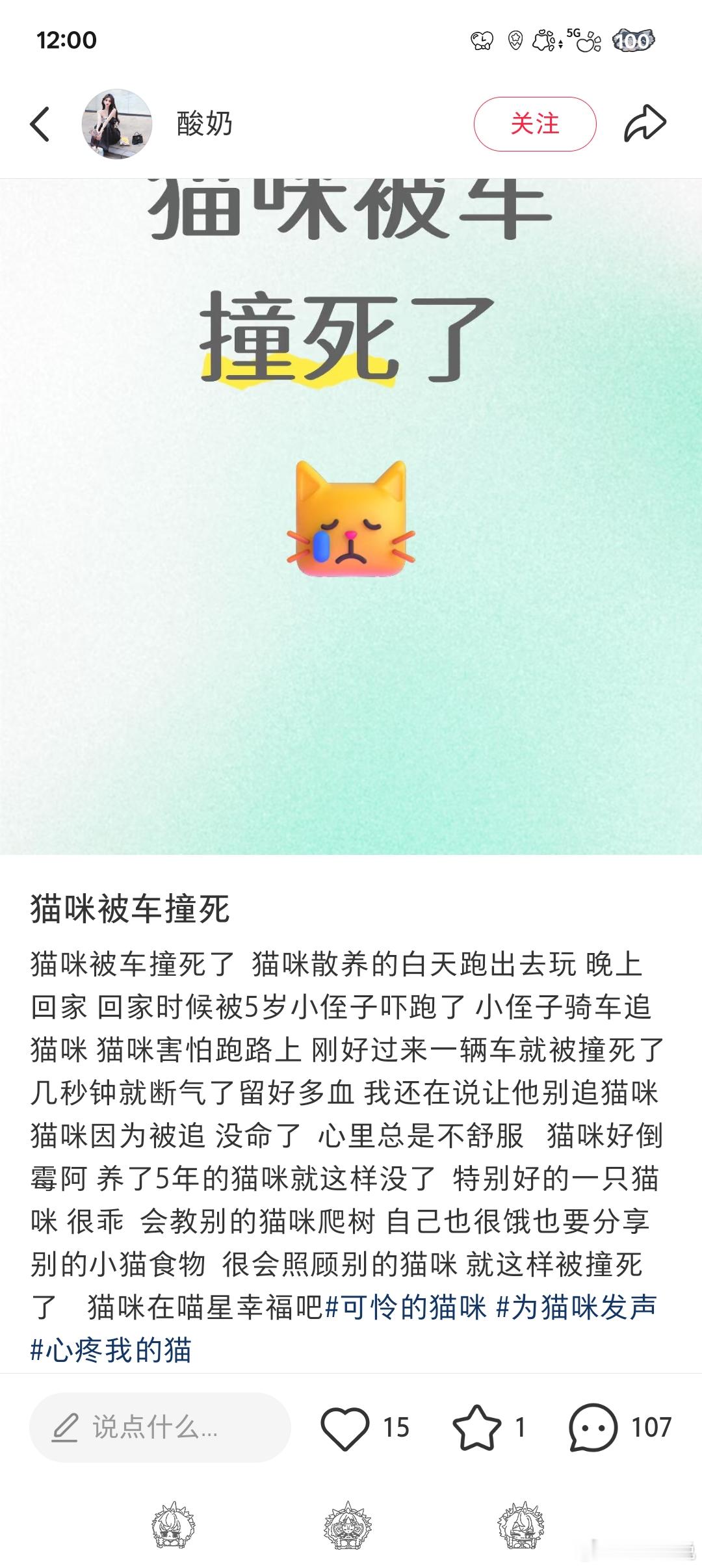 “猫咪被车撞死了” ​​​