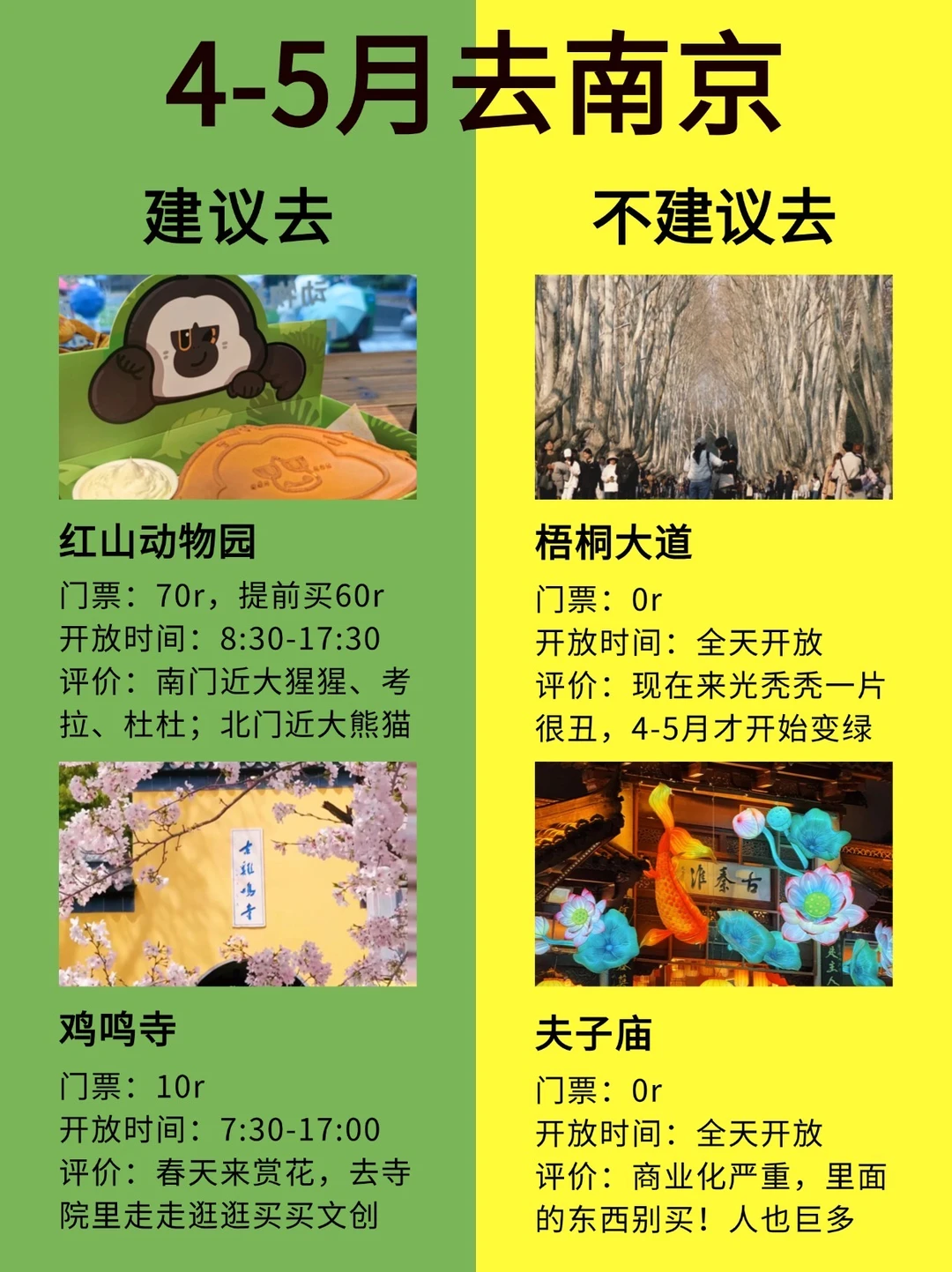 愿4-5月去南京的姐妹们都能刷到这篇