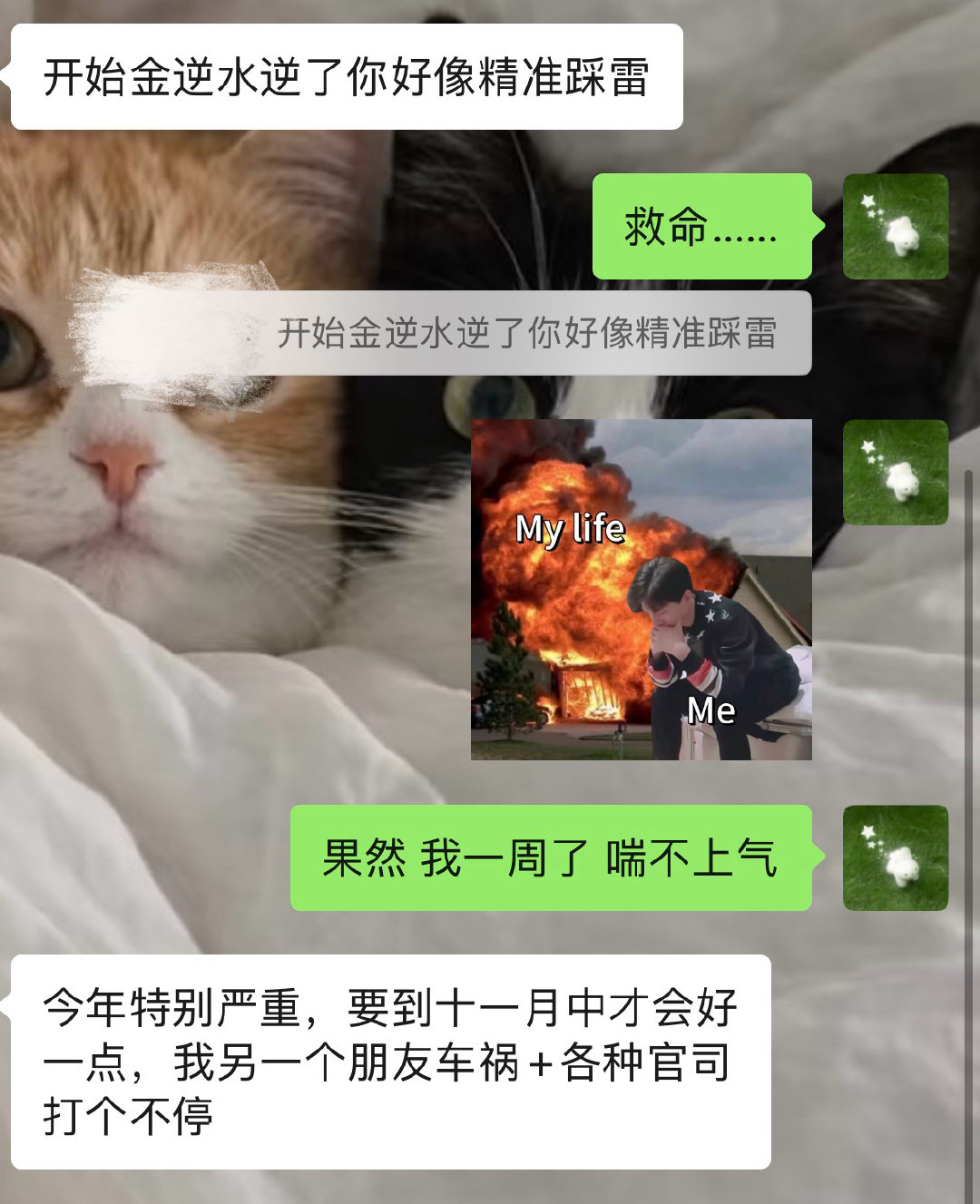 有时候不得不信玄学[下雨] ​