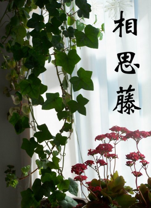 曹植《洛神赋》究竟为谁而写? 之前刷到好多人说《洛神赋》是曹植写给甄宓的，甚至扯出一堆叔嫂绯闻，翻了下正史细节才发现根本站不住脚。
这篇赋写于黄初三年，曹植刚从封地鄄城赶往洛阳朝觐曹丕，返程路过洛水时有感而发，途中写下的《感甄赋》后来被魏明帝改名为《洛神赋》。
真要抠细节，他和甄宓这辈子见面的次数都