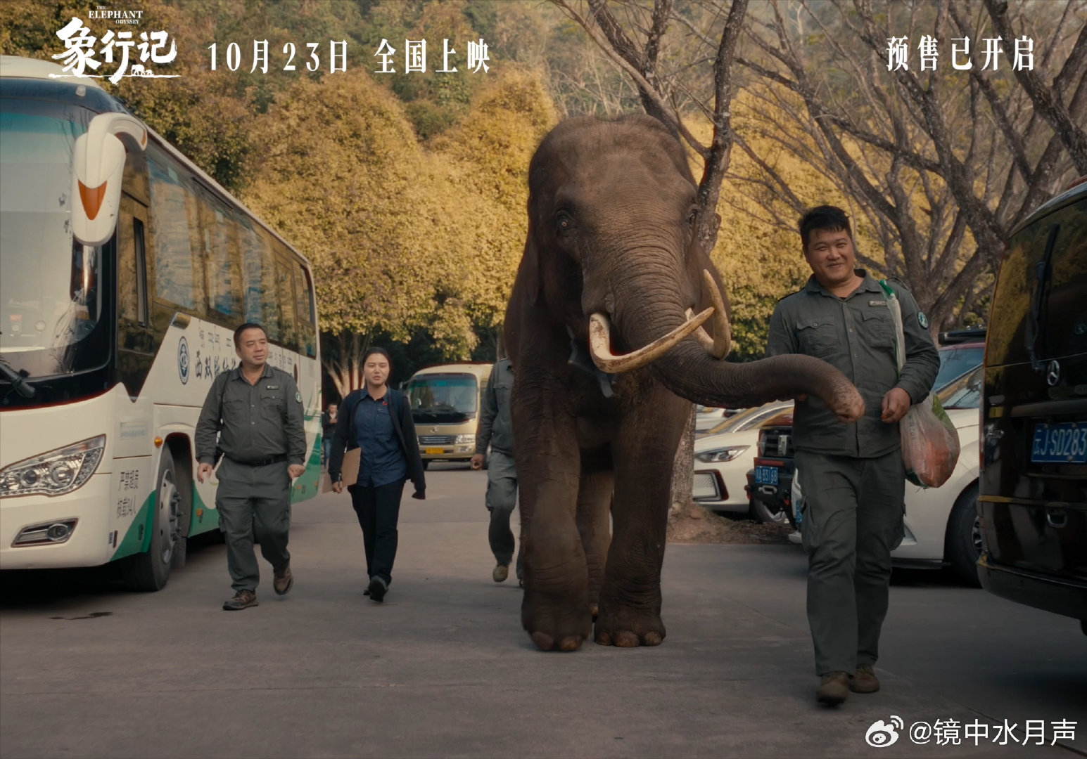 #黄轩为大象保护电影发声# 现在的影院就需要多上映一些这种有教育意义又具观赏性的好片，黄轩出任大使可以说是实至名归，必须冲一波 #黄轩任电影象行记公益宣传大使# ​