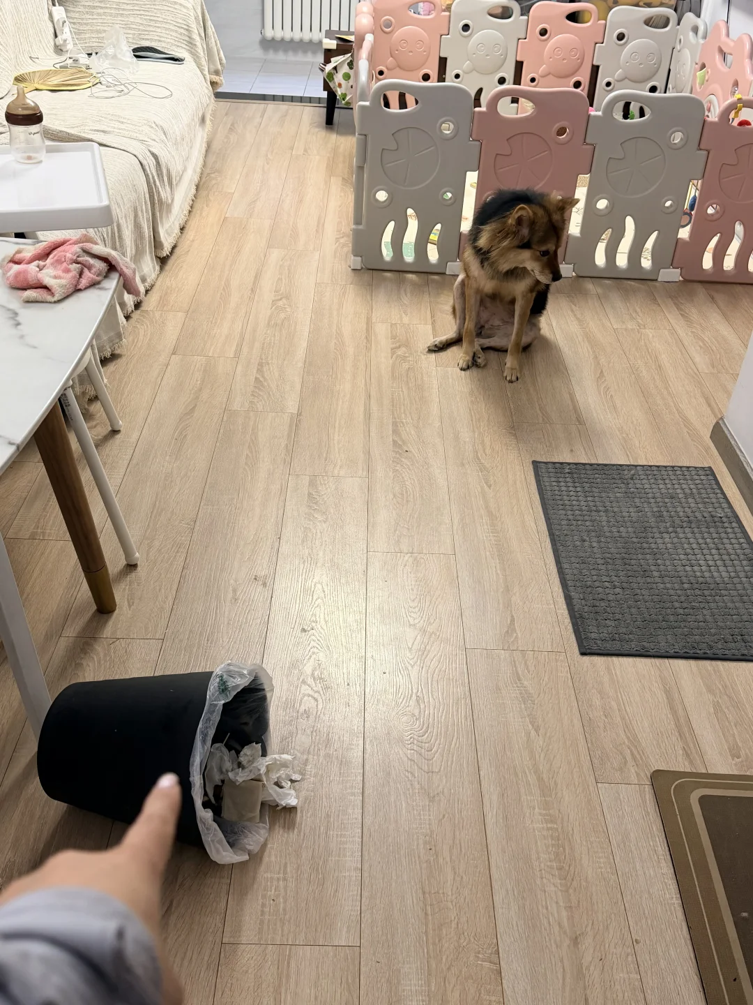 谁翻了垃圾桶 好难猜啊