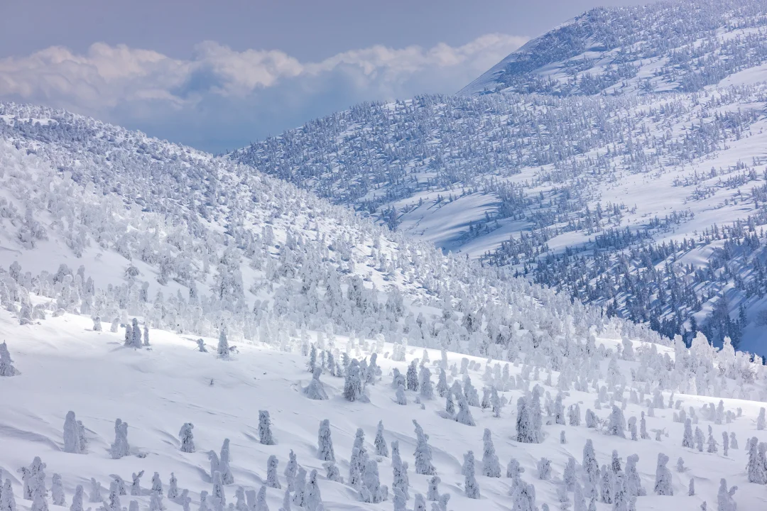青森❄冬季攻略