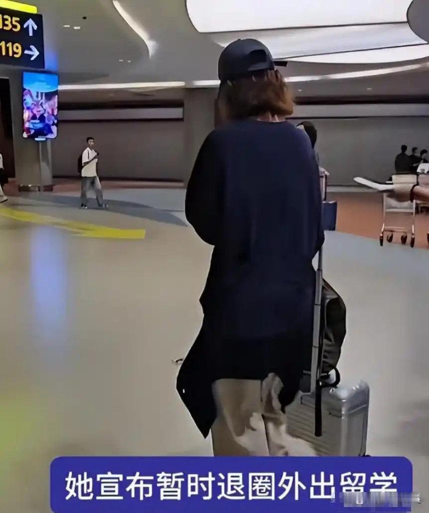 金晨赴美读书刚传开，张艺兴紧接着也出国了，最近这么多明星扎堆往外走，到底在躲什么 ​