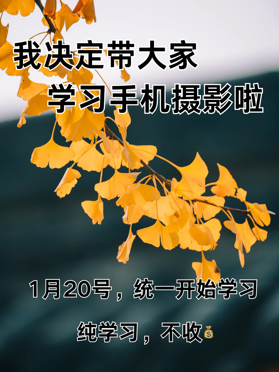 我决定带大家学习手机摄影啦！！