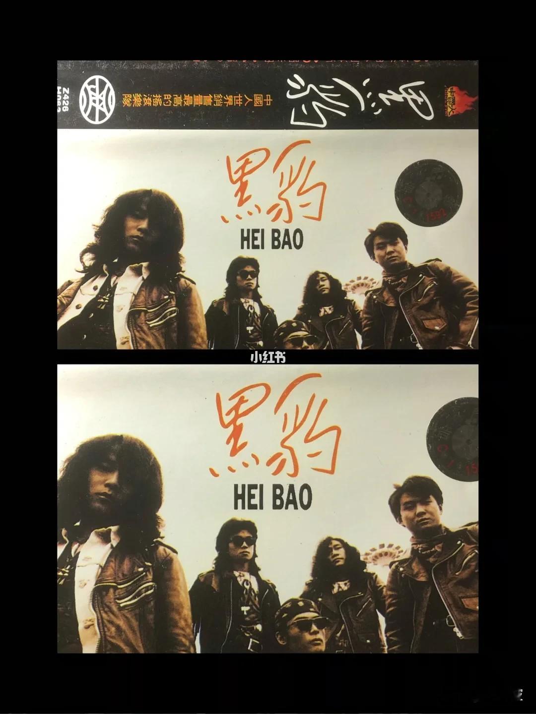 个人认为黑豹乐队的首张专辑是中国摇滚第一专辑。
这张专辑收录的九首歌曲，首首都是经典，软硬结合，百听不厌。其中窦唯的个人演唱和乐队的编曲是最牛逼的两个存在。专辑曾经在92年创下150万张的销量，从香港红到内地。

专辑中收录的九首歌曲，窦唯参与创作的有六首，其中包揽词曲的有《怕你为自己流泪》、《Do