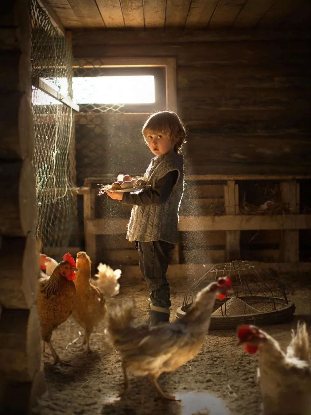【摄影审美提升】-Elena Shumilova作品分析