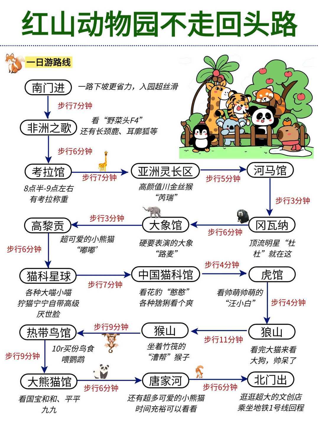 红山动物园一日游路线，不走回头路！！