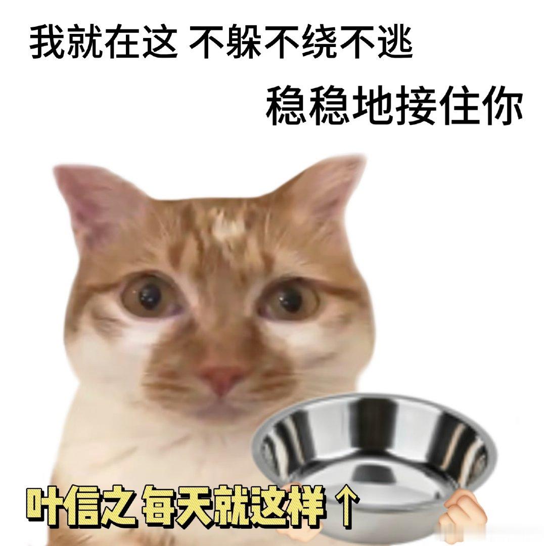 #魏大勋新剧说赵今麦是我家小朋友# 看着她在前面横冲直撞，他在后面稳稳兜底，这种年上的安全感真的太让人羡慕了 #电视剧无可替代# ​