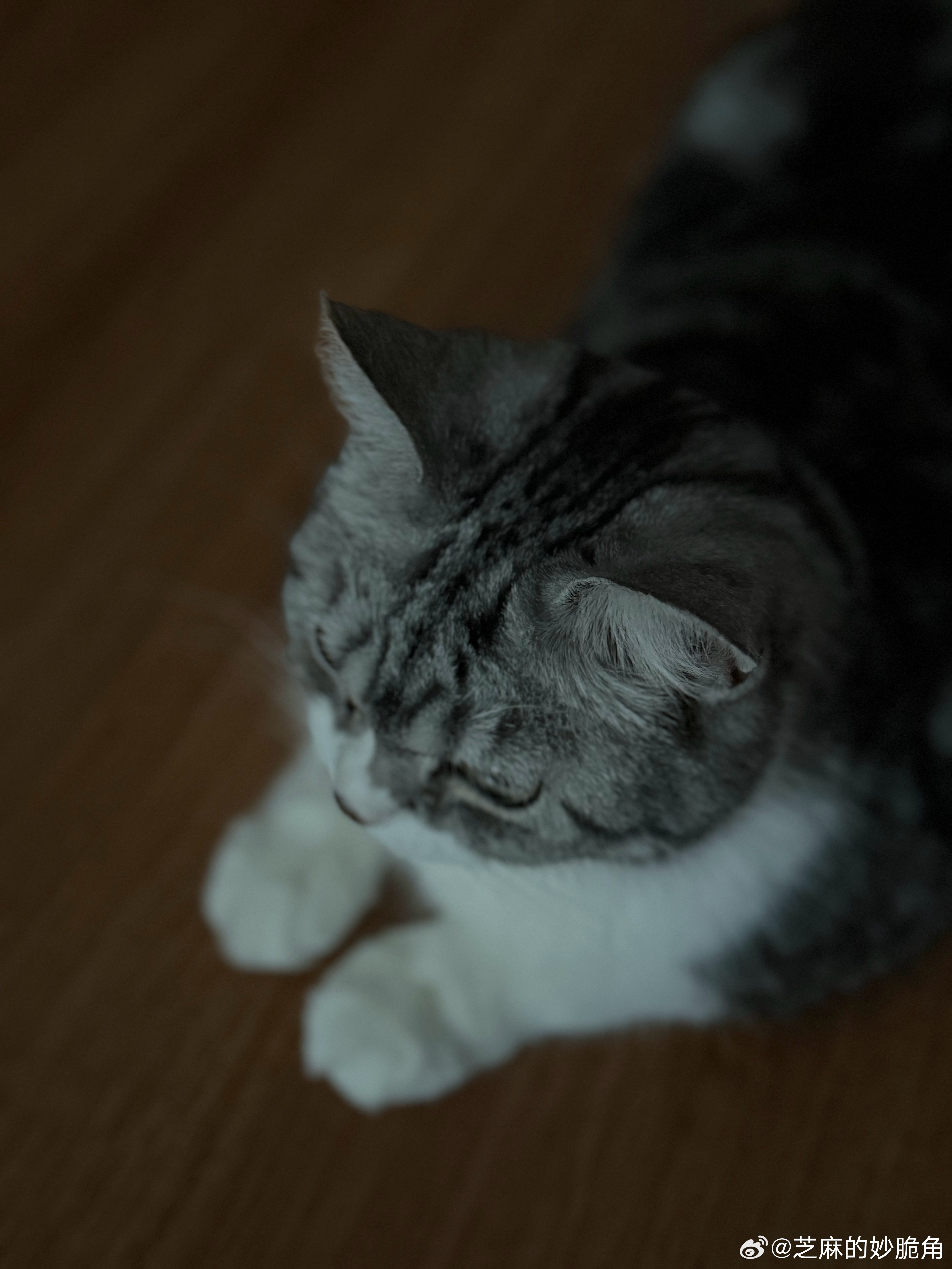 早安，棚友们。 ​​​