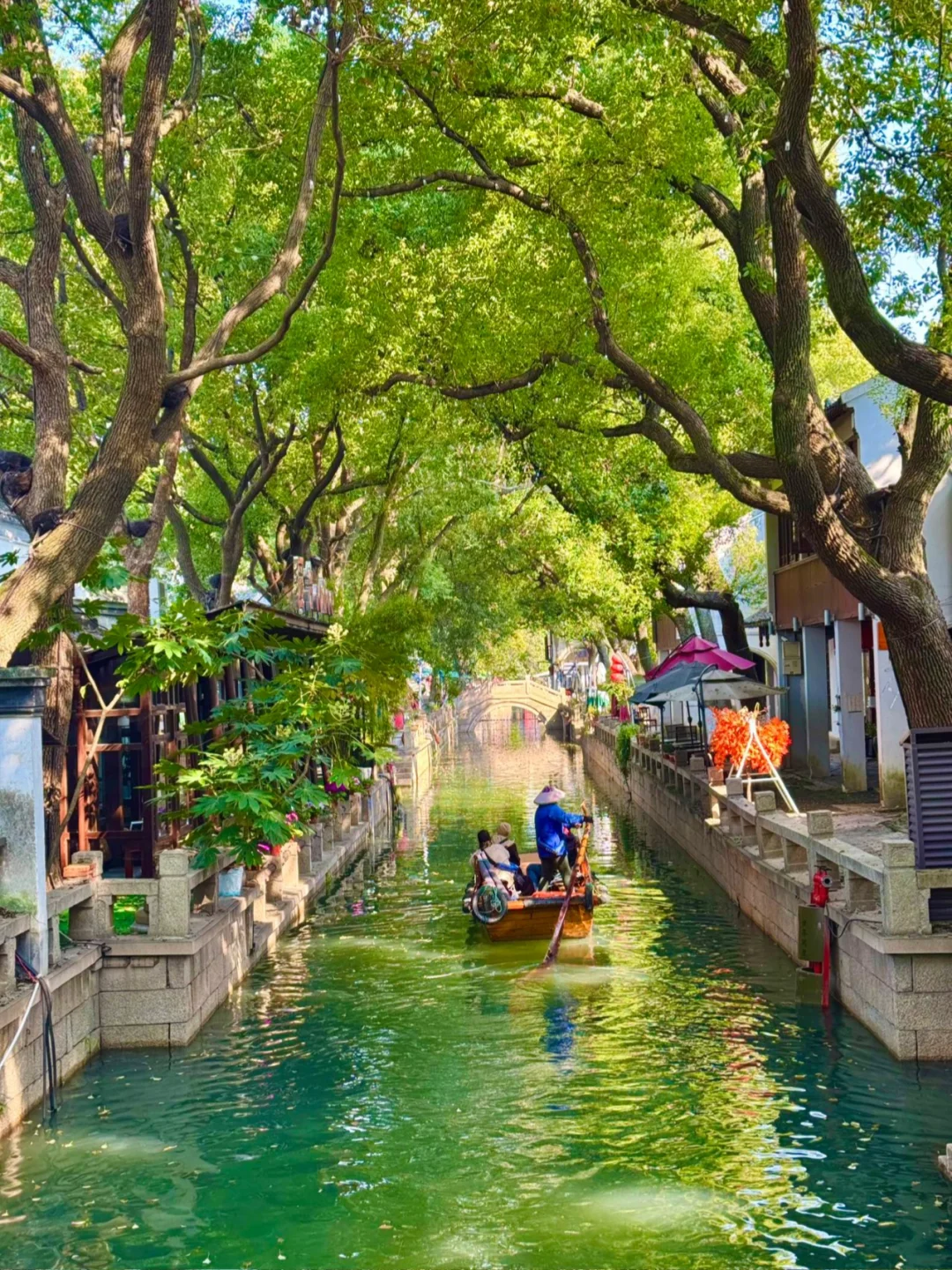 被央视多次点赞的同里古镇，才是江南顶流吧