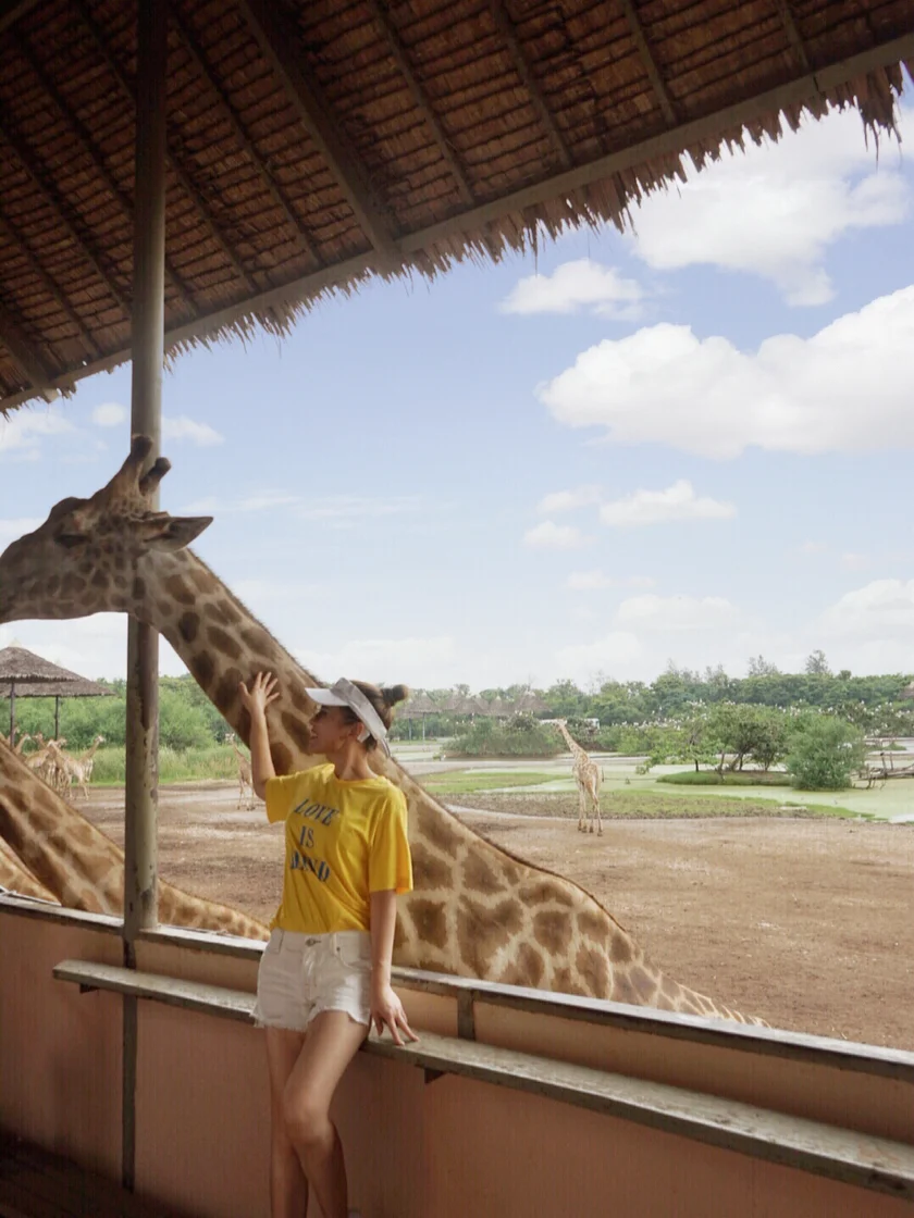泰国曼谷亲子游|Bangkok safari world曼谷野生动物园