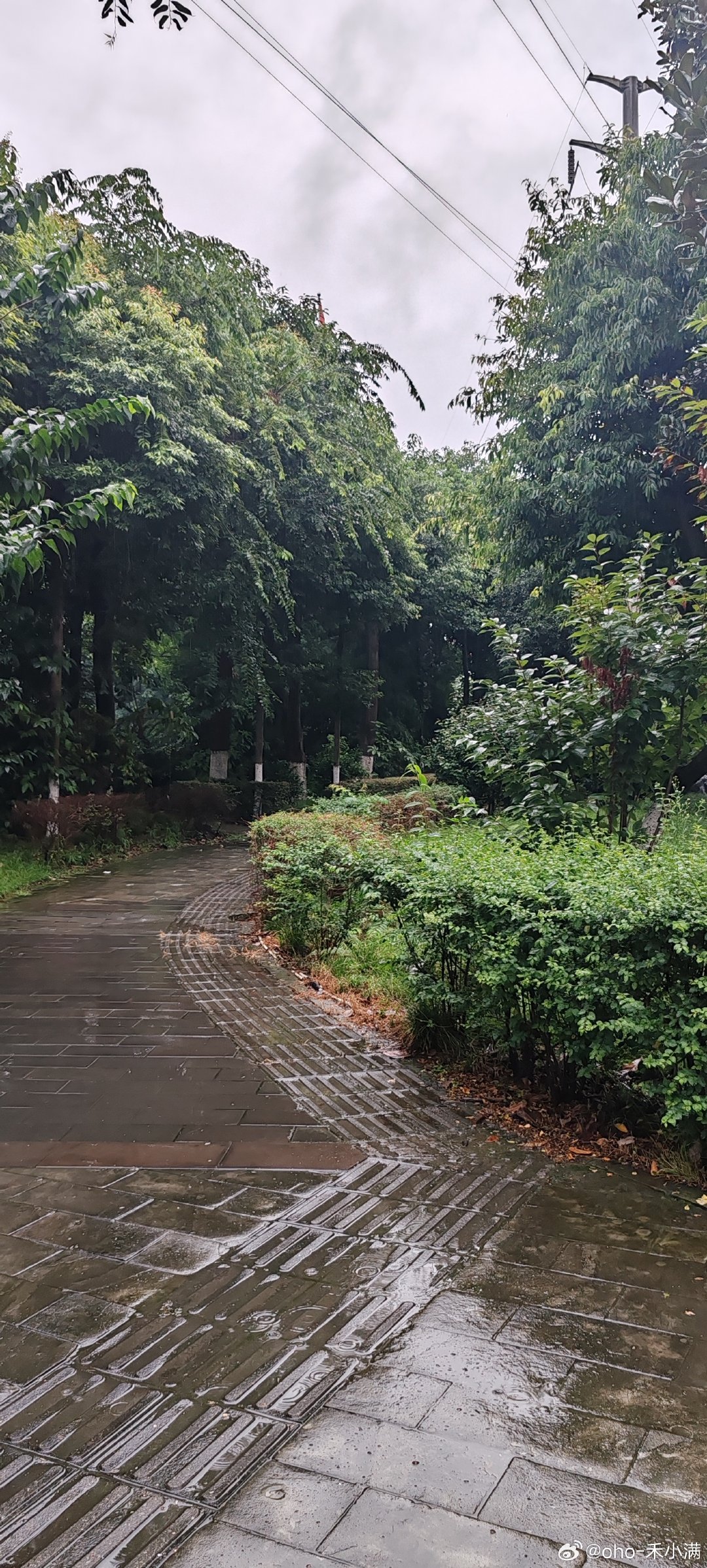 迎接下班快乐的

还有下雨耶

我也好想偶遇我爱的爱豆呀

那我还是先去接小朋友放学吧

#北京街头偶遇孙千# ​