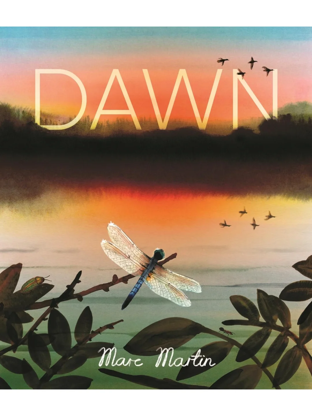 Marc Martin |日出 ：遇见万物苏醒的瞬间