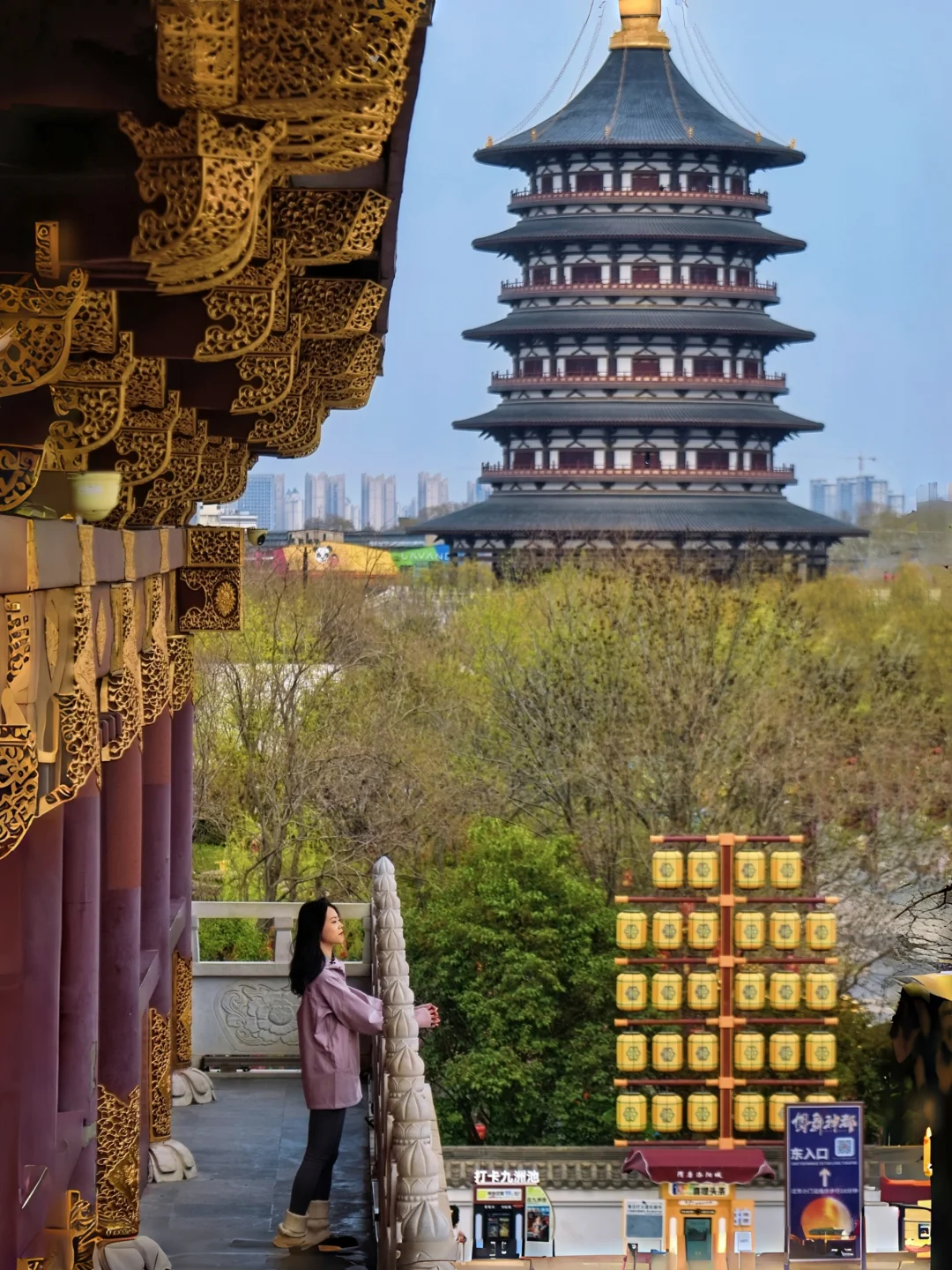 洛阳春日赏花路线‼️追一场国色天香的春风