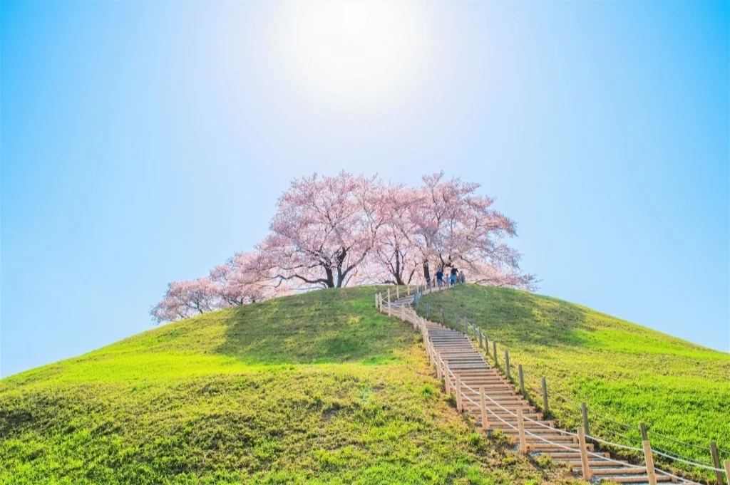 日本埼玉县｜是风景也是历史是寻找也是追溯