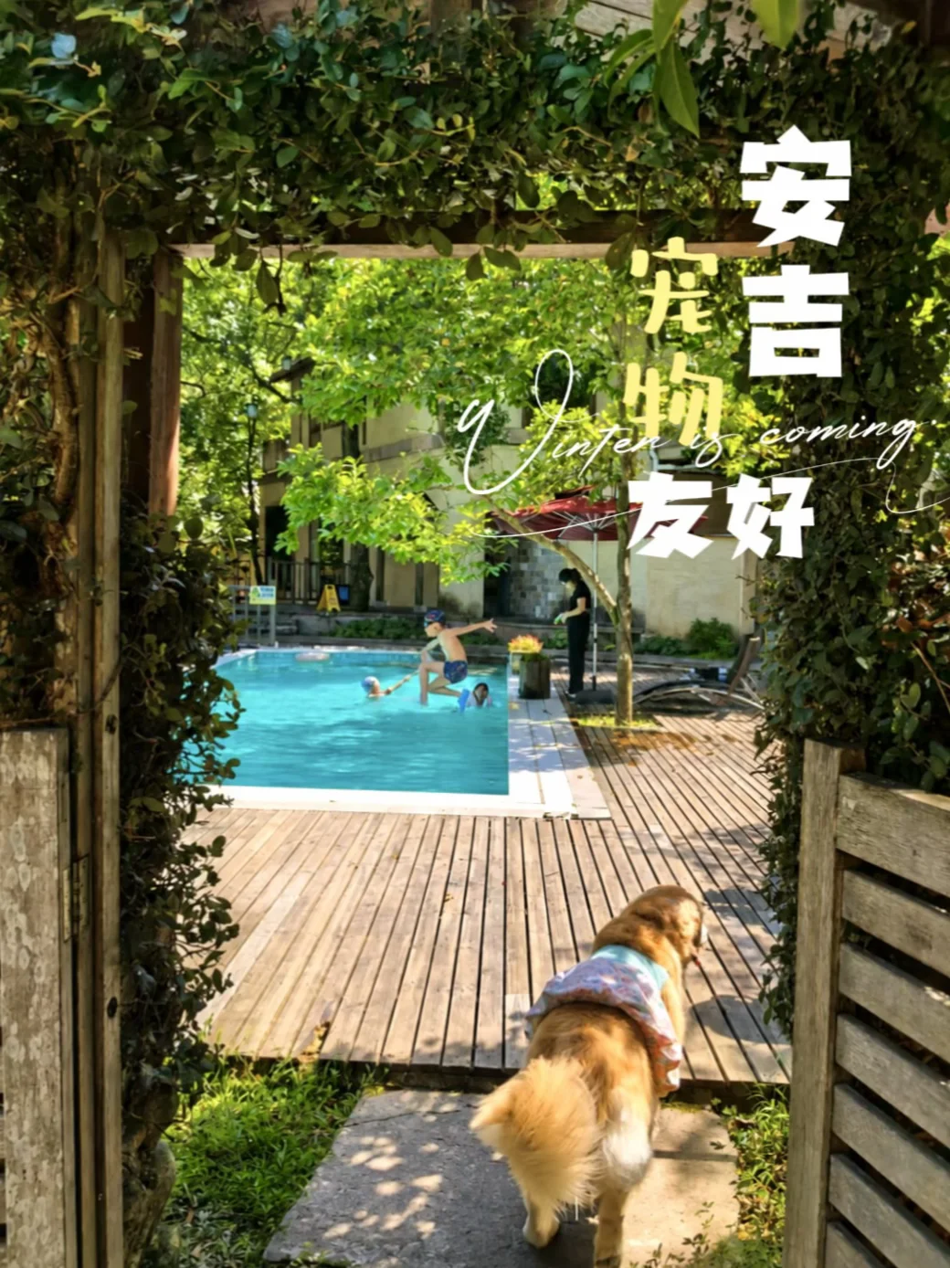 【宠物友好】内核不在于收取宠物清洁费